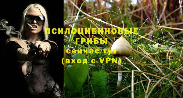 спиды Абдулино