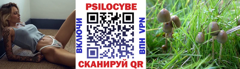 Псилоцибиновые грибы мицелий  Агидель 